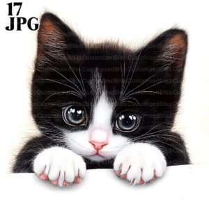 ClipArt Cat