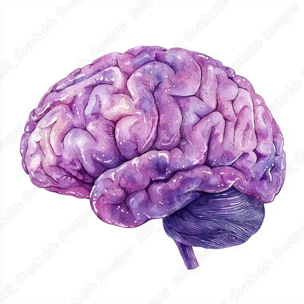 Brain ClipArt