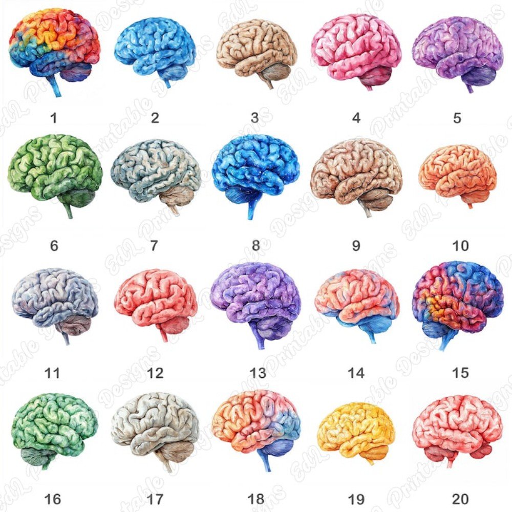 Brain ClipArt