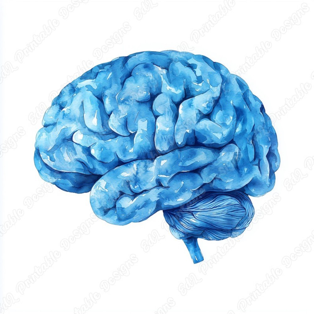 Brain ClipArt