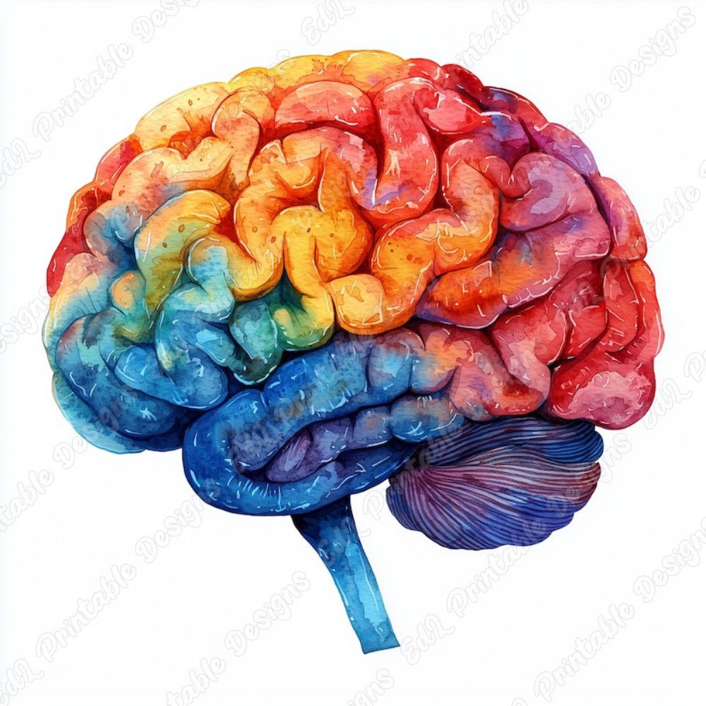 Brain ClipArt